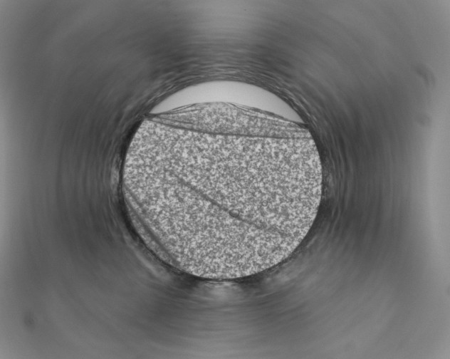X0000111130427200907281055