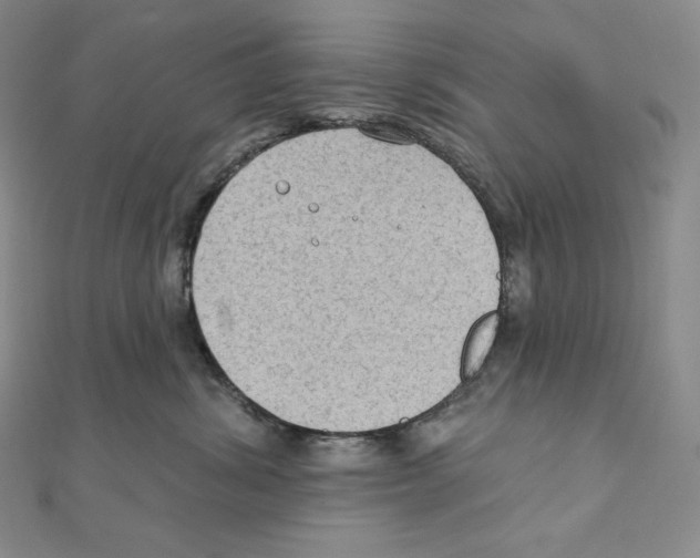 X0000111130428200907281055