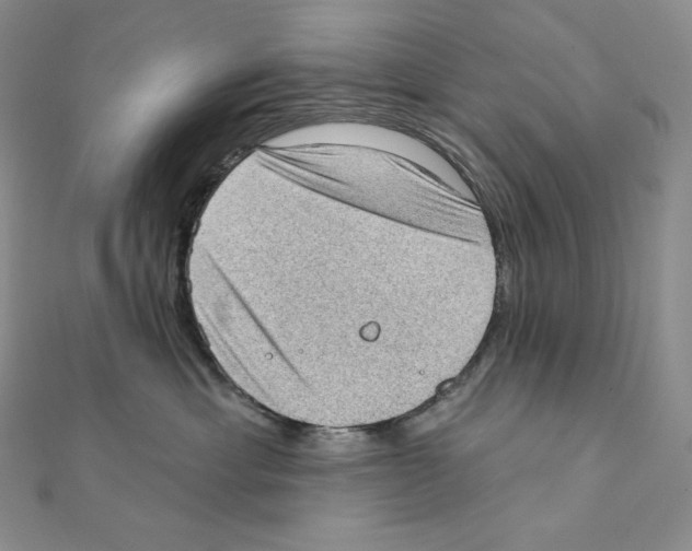 X0000111130429200907281055