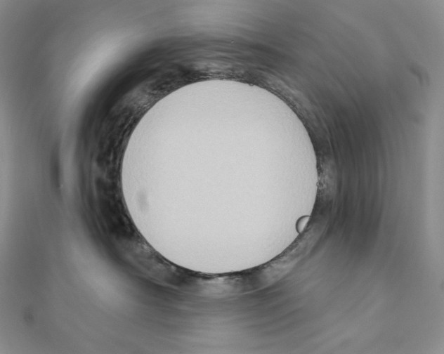 X0000111130430200907281055