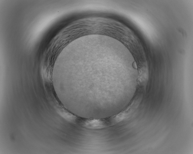 X0000111130431200907281055