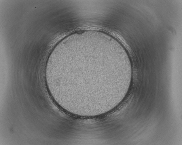 X0000111130433200907281054