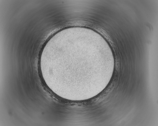 X0000111130434200907281054