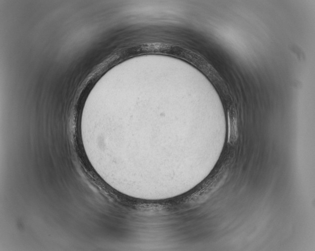 X0000111130435200907281054