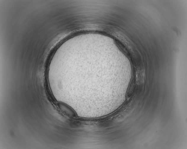 X0000111130436200907281054