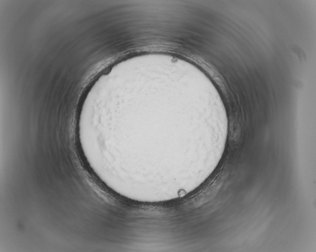 X0000111130437200907281054