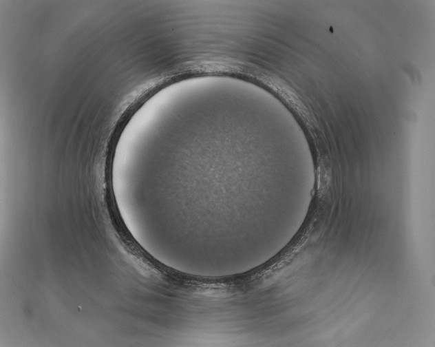 X0000111130438200907281054