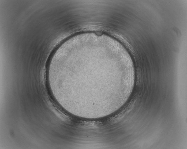 X0000111130439200907281054
