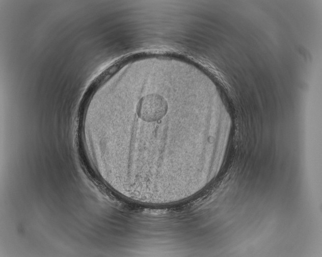 X0000111130440200907281054
