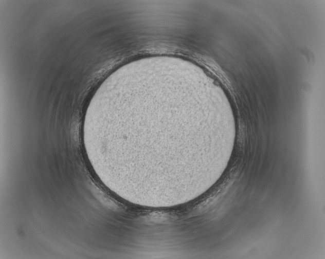 X0000111130441200907281054