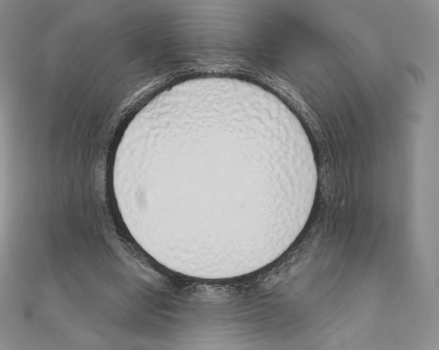 X0000111130442200907281054