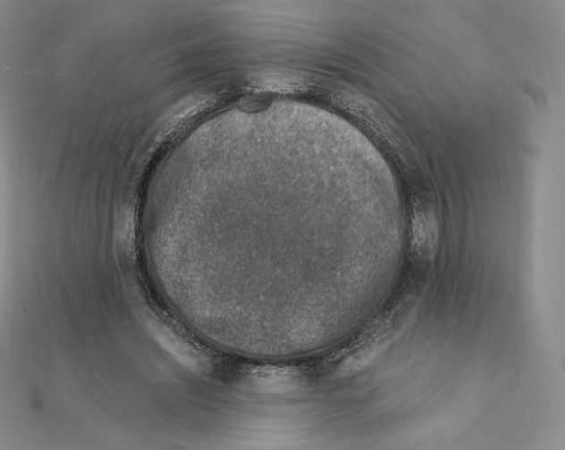X0000111130444200907281054