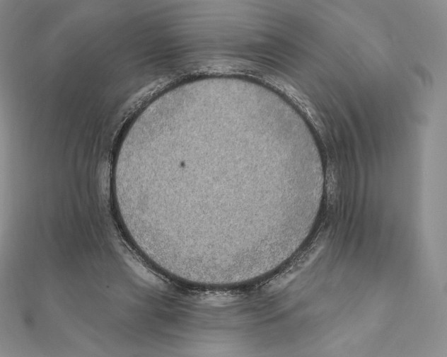 X0000111130445200907281054