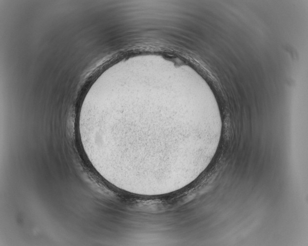 X0000111130446200907281054