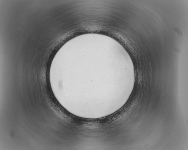 X0000111130447200907281054