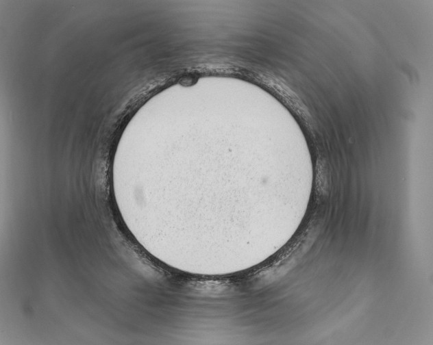 X0000111130449200907281054