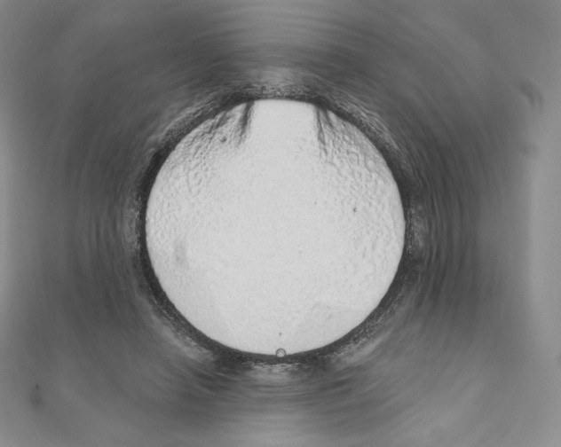 X0000111130450200907281054
