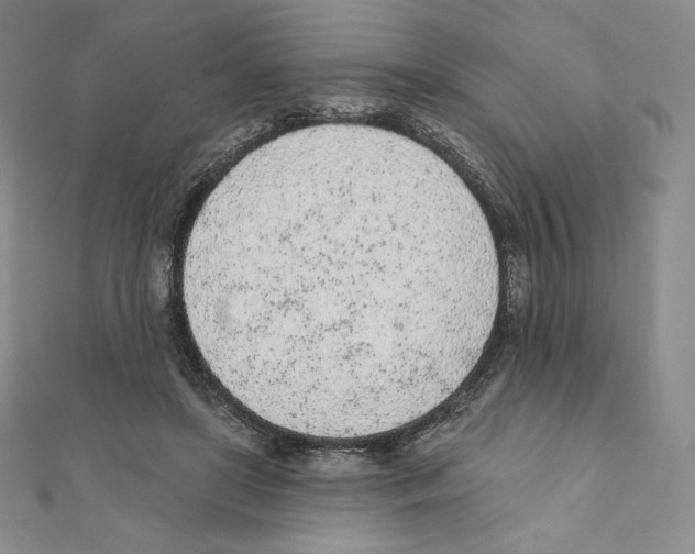 X0000111130451200907281054