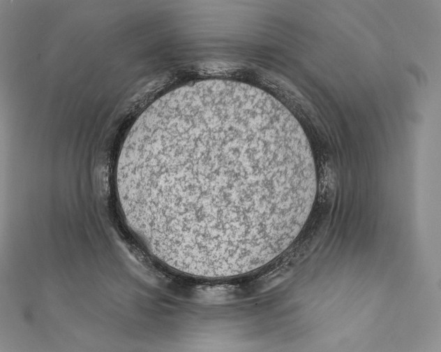 X0000111130452200907281054