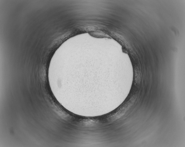 X0000111130453200907281054