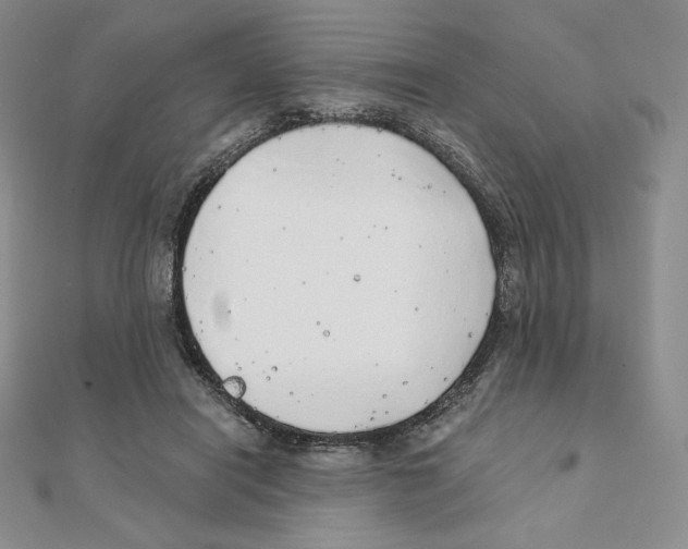 X0000111130454200907281054
