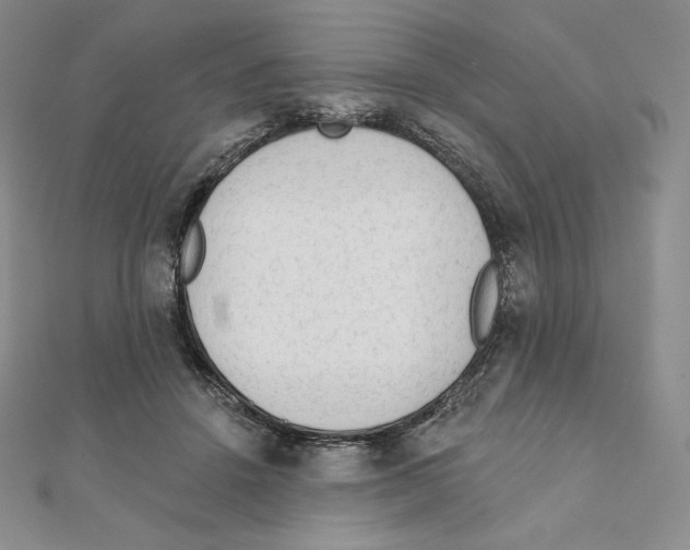 X0000111130456200907281054