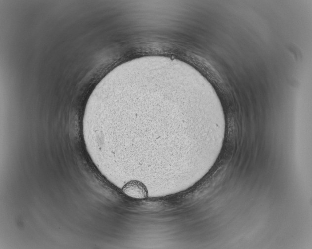 X0000111130457200907281054