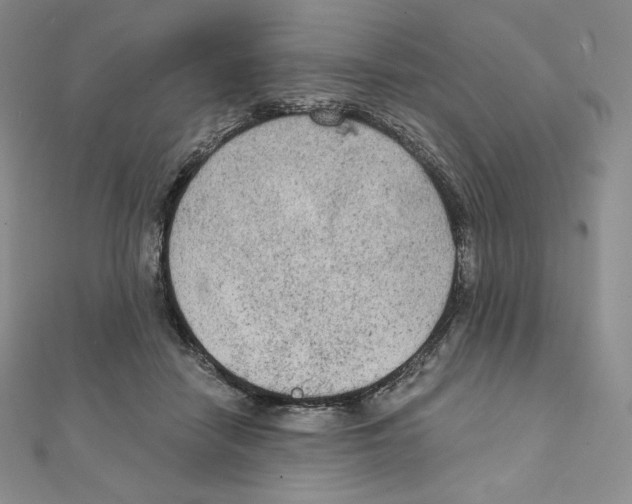 X0000111130458200907281054