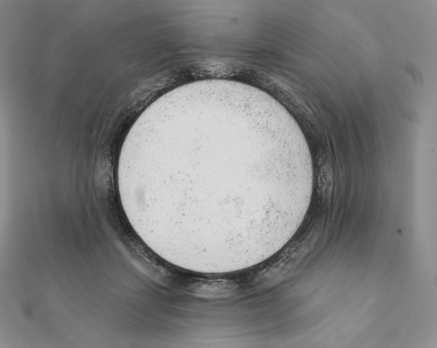 X0000111130459200907281054