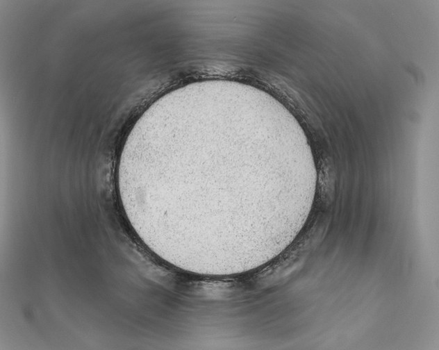 X0000111130462200907281054