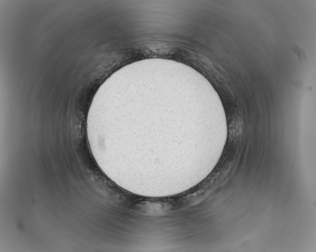 X0000111130464200907281054