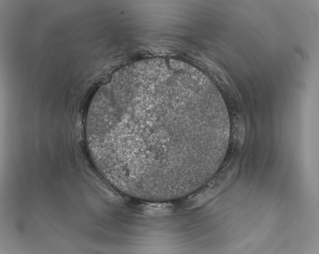 X0000111130465200907281054