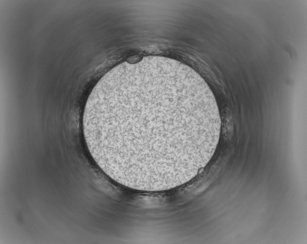 X0000111130466200907281054