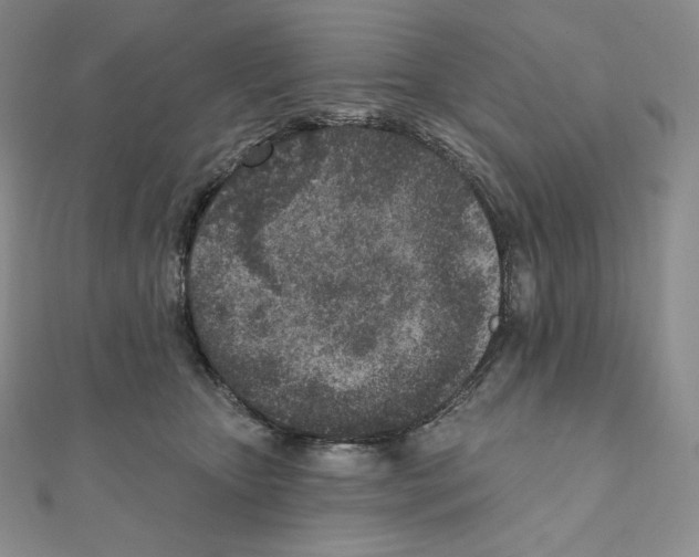 X0000111130467200907281055