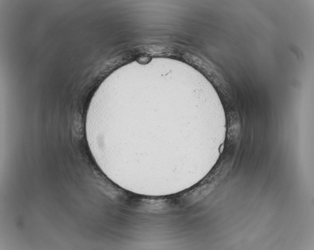X0000111130469200907281055