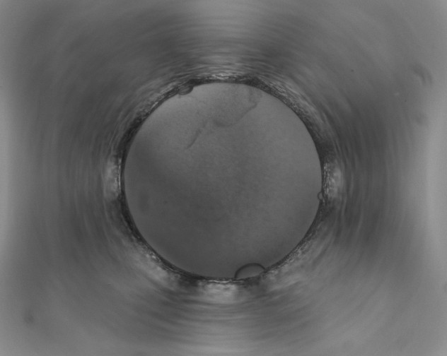 X0000111130471200907281055
