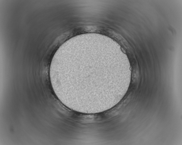 X0000111130473200907281055