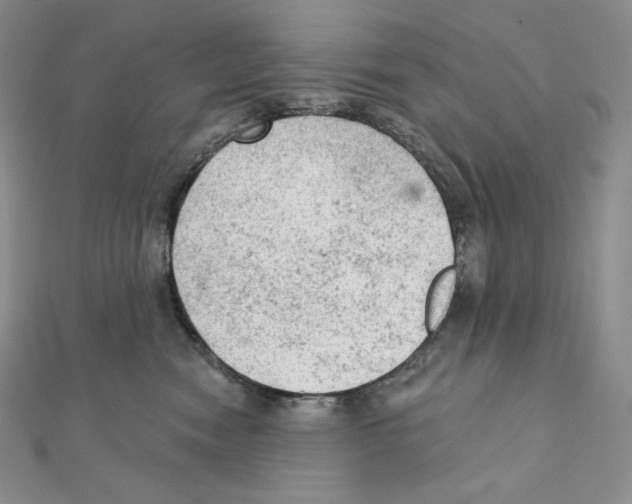 X0000111130474200907281055