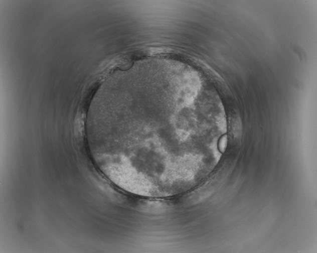 X0000111130475200907281055