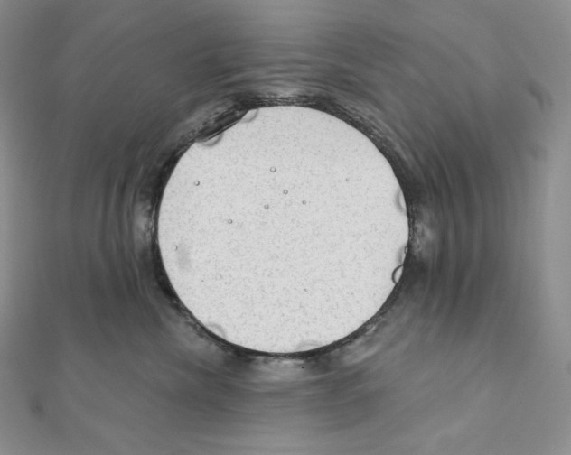 X0000111130476200907281055