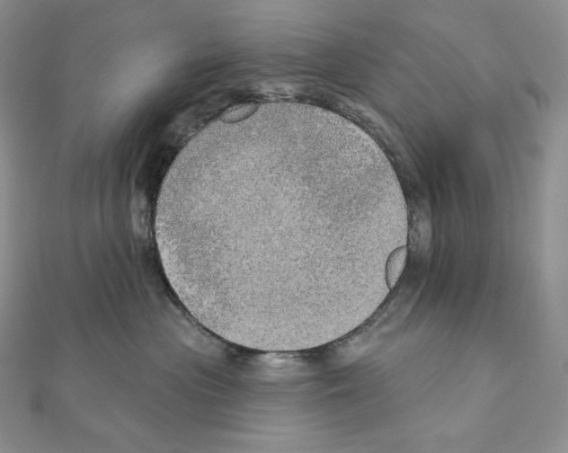 X0000111130477200907281055