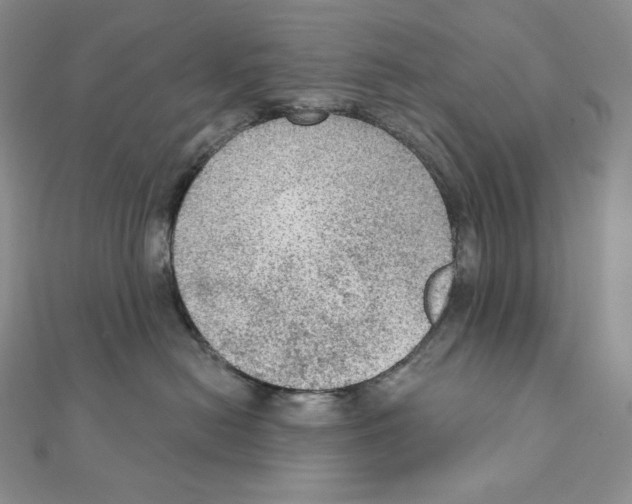 X0000111130478200907281055