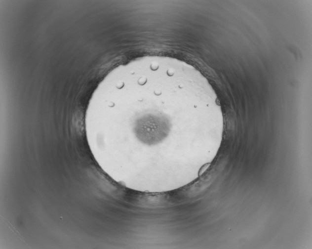 X0000111130479200907281055