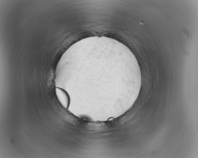 X0000111130480200907281055