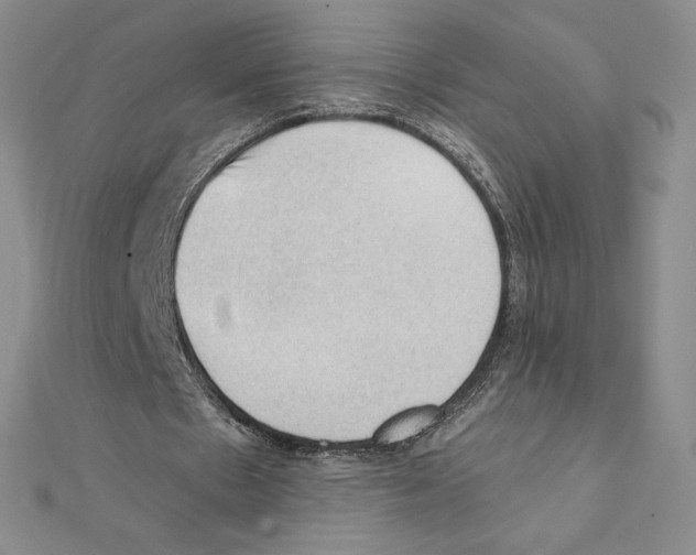 X0000111130481200907281054