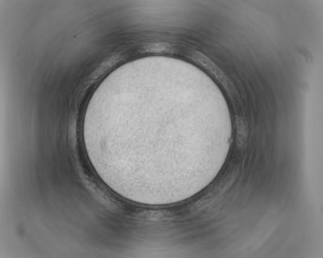 X0000111130482200907281054