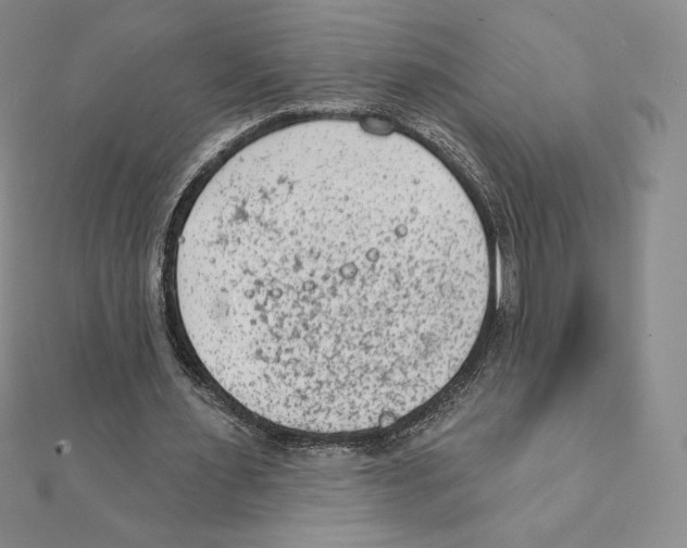 X0000111130483200907281054