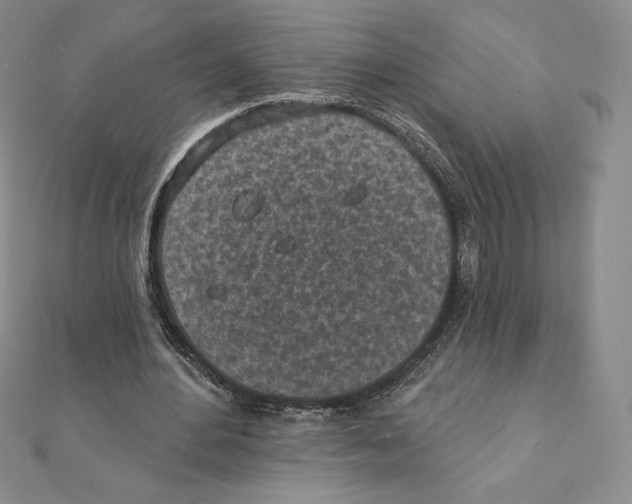 X0000111130484200907281054