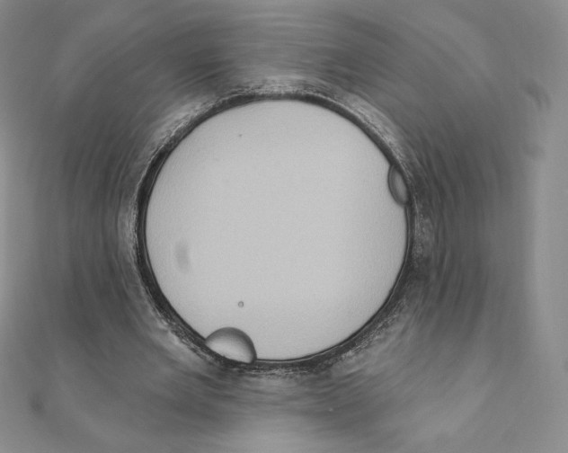 X0000111130485200907281054
