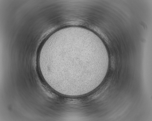 X0000111130486200907281054